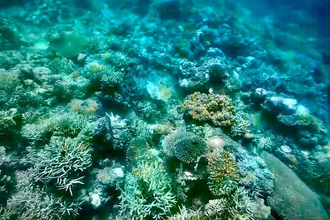 Rangko Cave & Beach Snorkeling Half Day Sharing Trip Labuan Bajo - Stop 2: Boleng Beach snorkeling, what makes it worth the extra boat ride