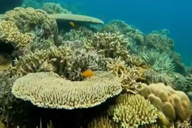 Rangko Cave & Beach Snorkeling Half Day Sharing Trip Labuan Bajo - What you actually get for $48, value check