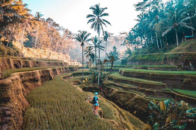 Real Ubud Private Customised Tour By Local Guides - Pickup timing and where you’ll meet the day