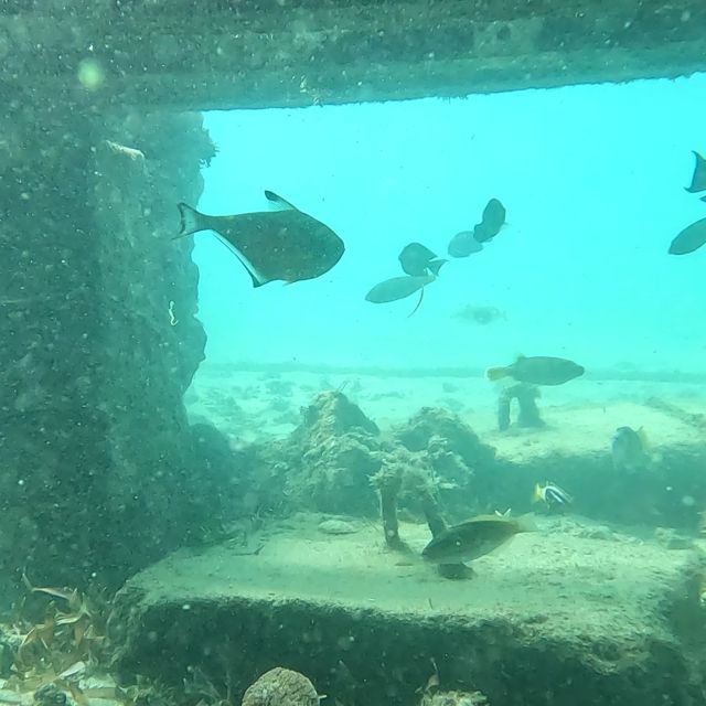 Sanur: Coastal Area Snorkeling Session - The 1.5-Hour Sanur Snorkeling Session: What You’ll Actually Do