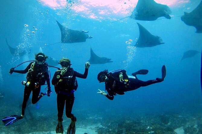 Sanur Open Water Course learn diving in 3 Days - Get certified & Dive everywhere - Day 2 in Sanur Bay: two open-water sessions in familiar waters