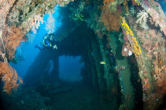 Sanur Open Water Course learn diving in 3 Days - Get certified & Dive everywhere - Price and what the $480 covers in real life