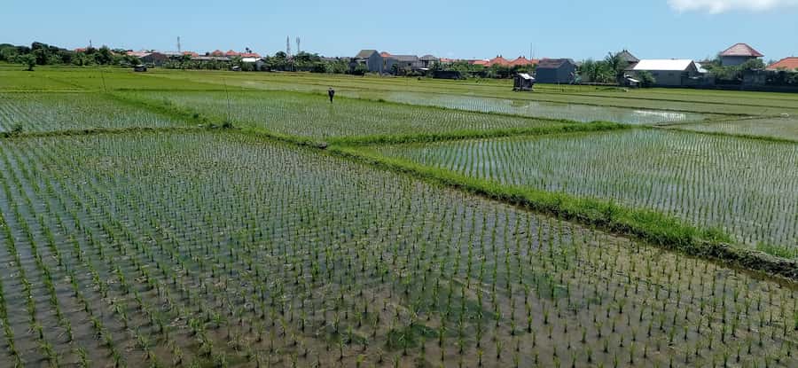 Sanur Village E-bike Tour: Family-Friendly Adventure - Practical tips for a smoother ride in Sanur traffic and sun