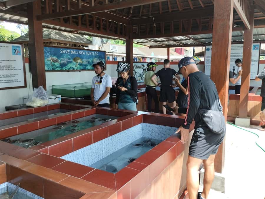 Sanur Village E-bike Tour: Family-Friendly Adventure - Why this Sanur e-bike feels more local than the usual morning