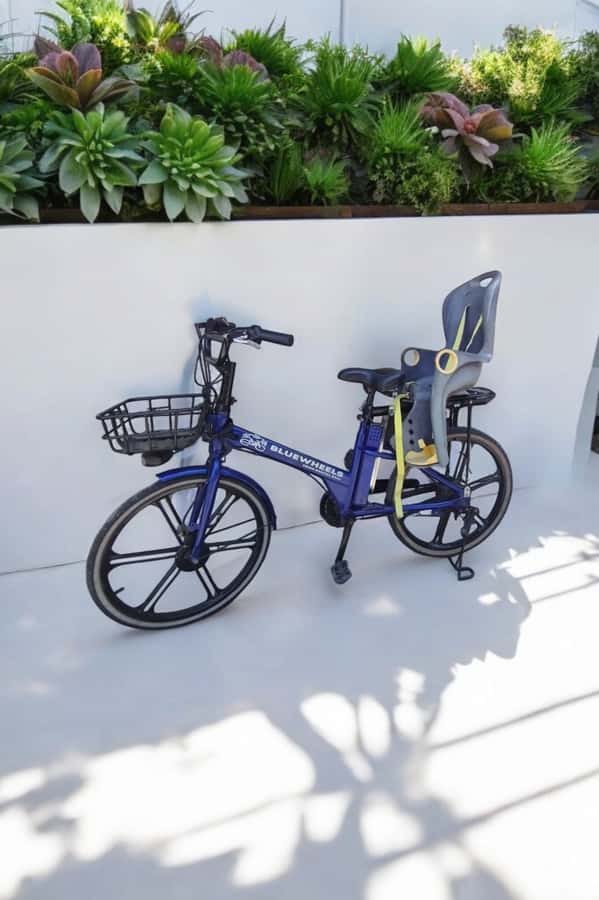Sanur Village E-bike Tour: Family-Friendly Adventure - Rice fields, crop talk, and why the “working land” stops feel different