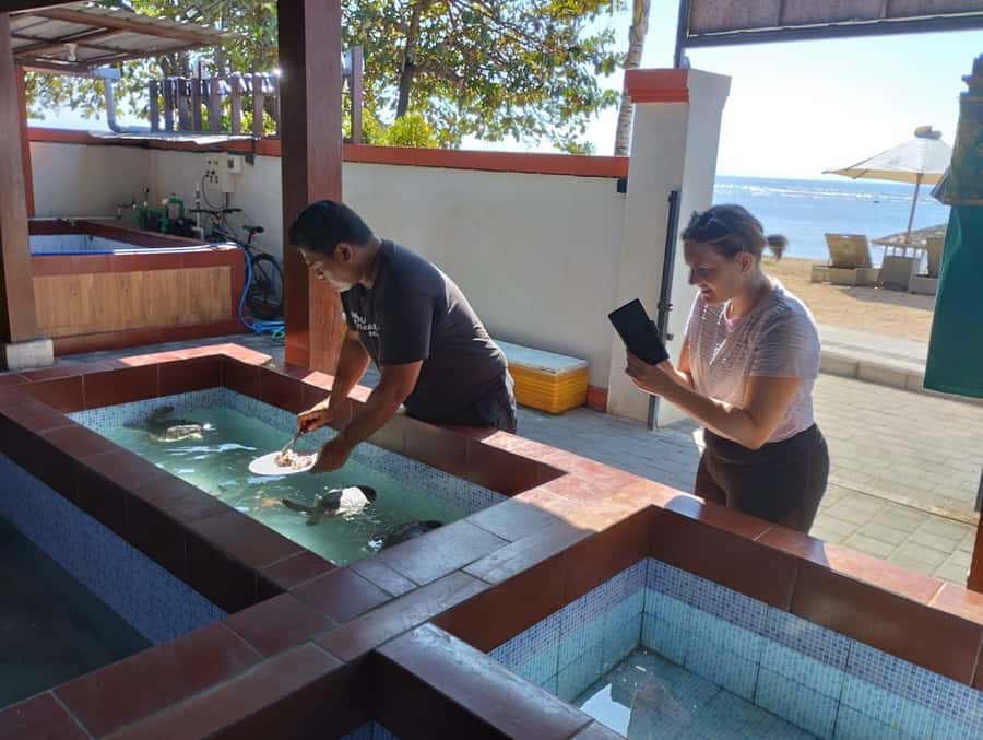 Sanur Village E-bike Tour: Family-Friendly Adventure - The turtle conservation stop, rehab work you can actually understand