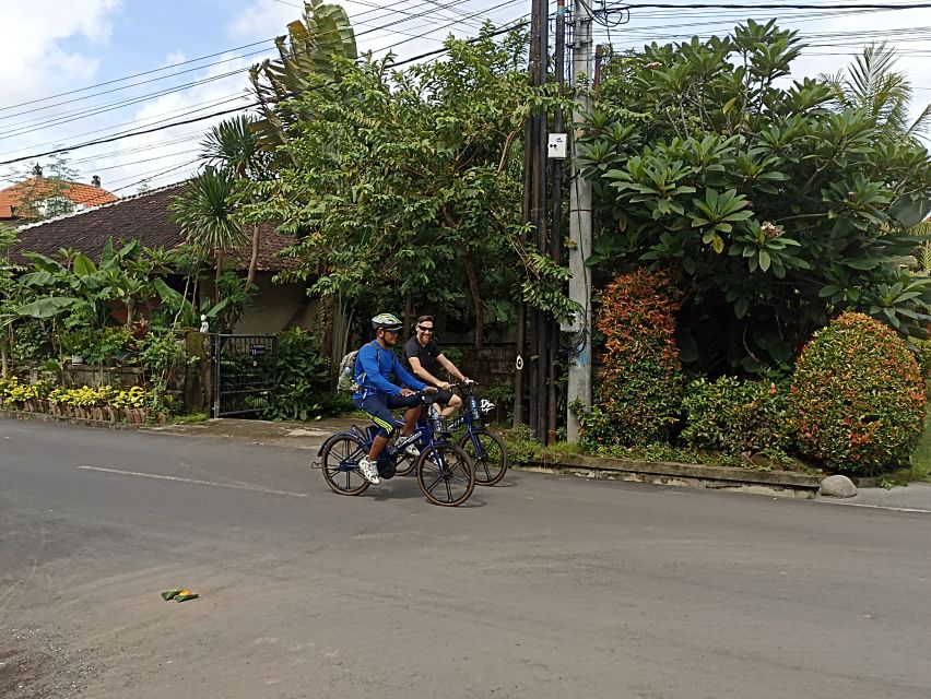 Sanur Village E-bike Tour: Family-Friendly Adventure - Price and value, what $47 really buys you on this 150-minute ride