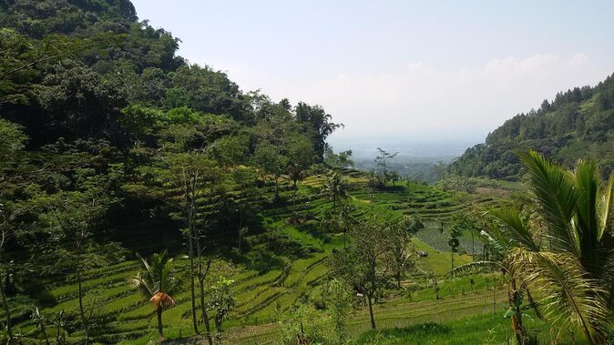 Selogriyo Temple and Trekking Java Rice Terraces, hidden waterfall -Nature Java - Key reasons this Selogriyo and waterfall day wins