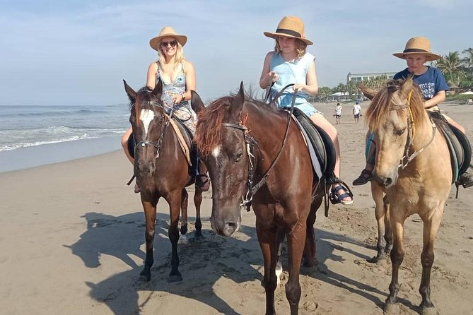 Seminyak Beach Bali Horse Riding - Guide and private-tour feel: what personalized means in practice