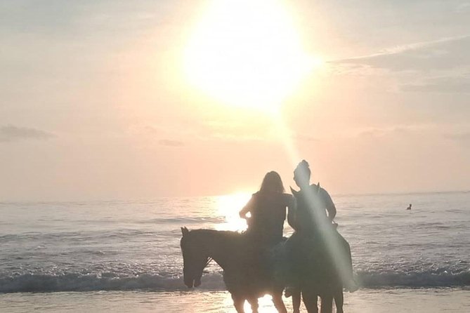 Seminyak Beach Bali Horse Riding - Reviews truth check: the best moments and the red flags