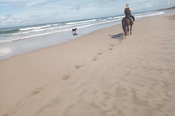 Seminyak Beach Bali Horse Riding - Best time to ride and how to prepare for Bali weather