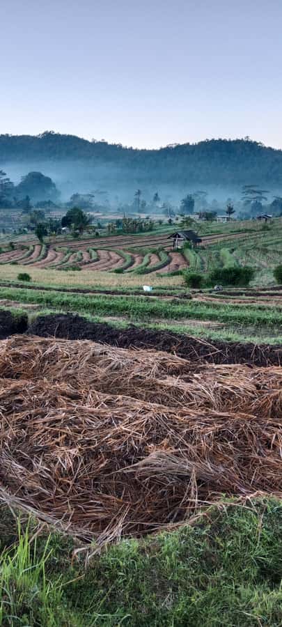 Sidemen rice terraces trek and local village walk - Photo Stops and Wet-Weather Reality (Including River Crossings)