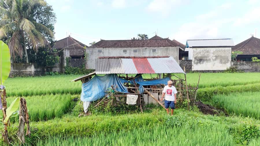 Sidemen rice terraces trek and local village walk - Meeting Point: Ming Homestay or Your Hotel in Central Sidemen