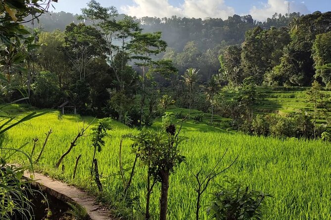 Sidemen Trekking: A Walk from a Different Perspective - Dukuh Village, Temple Stops, and Everyday Movement