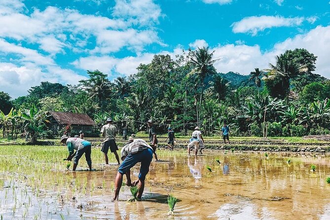 Sidemen Trekking: A Walk from a Different Perspective - English Guides Who Turn Stops Into Stories