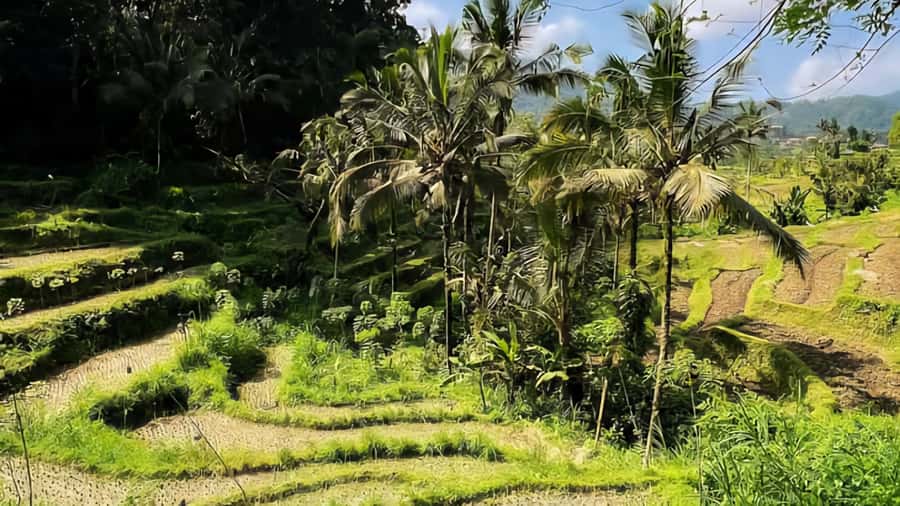 Sidemen Trekking: A Walk from a Different Perspective - Price and Value at About 13 USD for a Two Hour Walk