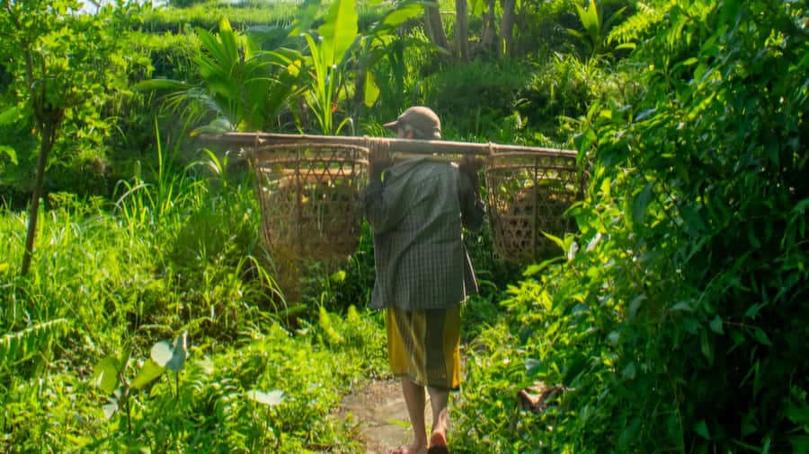 Sidemen Trekking: A Walk from Different Perspective - Following the Water to Mount Agung Views