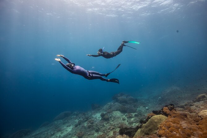 Snorkeling and Freediving Trip around Nusa Penida - SD Point Drift: A Relaxed Reef Slope and a Chance at Turtles