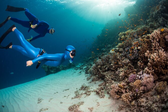 Snorkeling and Freediving Trip around Nusa Penida - Check-In at Freedive Nusa: Gear, Briefing, and What to Expect on Land