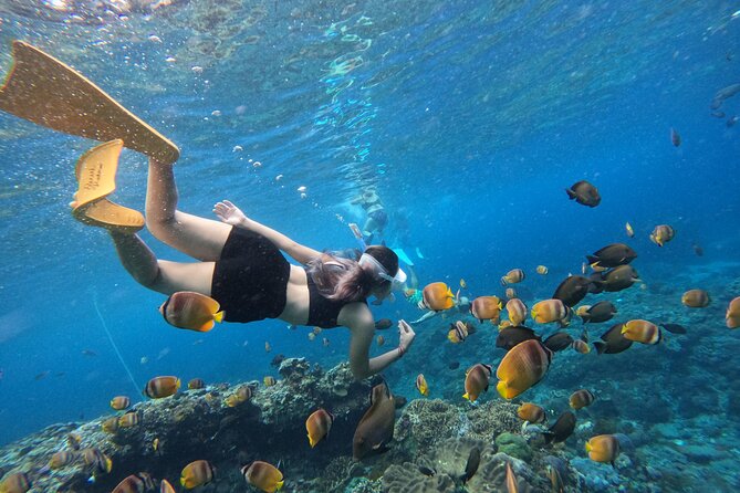 Snorkeling Day Trip To Lembongan and Penida - Key Points at a Glance