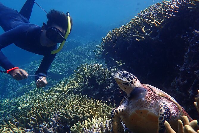 Snorkeling in Menjangan Island with Pickup and Lunch - Lunch choices: why having options can matter more than you think