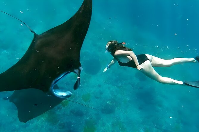Snorkeling In Nusa Penida Departing From Bali Island - Key things worth knowing before you go