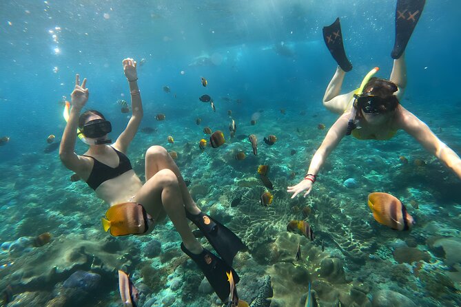Snorkeling In Nusa Penida Departing From Bali Island - Crystal Bay, Wall Point, Gamat Bay, and Manta Bay: what each stop likely gives you