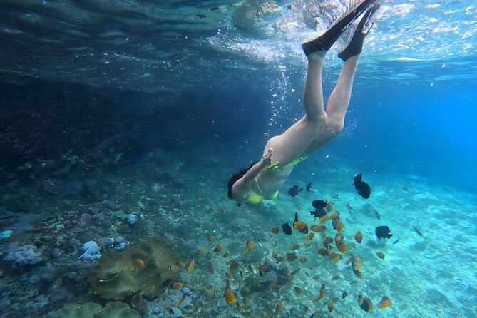 Snorkeling In Nusa Penida Departing From Bali Island - GoPro underwater shooting and how to get better photos without stress