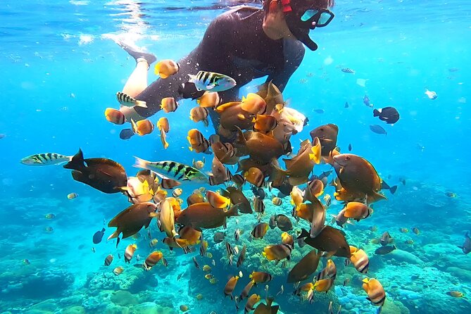 Snorkeling In Nusa Penida Departing From Bali Island - Crowds, English levels, and the reality of a shared snorkeling scene