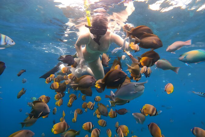 Snorkeling In Nusa Penida Departing From Bali Island - What to pack for Penida so you actually enjoy the day
