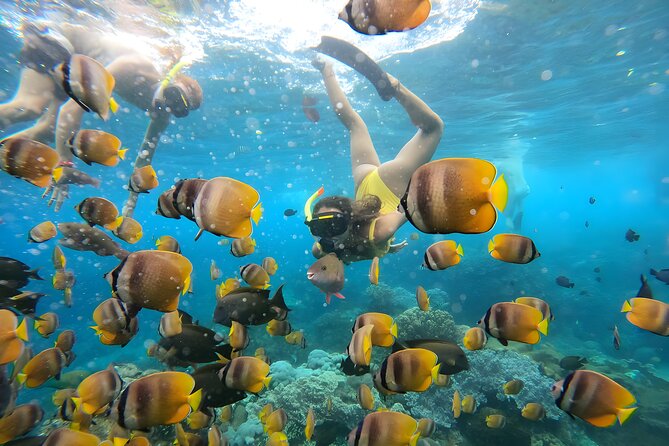 Snorkeling In Nusa Penida Departing From Bali Island - Price and value: what $104.50 buys you, and what you still need to cover
