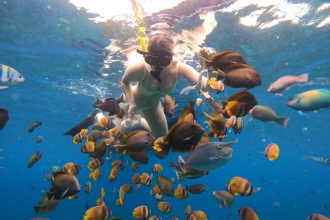 Snorkeling In Nusa Penida Island With Manta Ray From Bali - Key highlights worth planning for