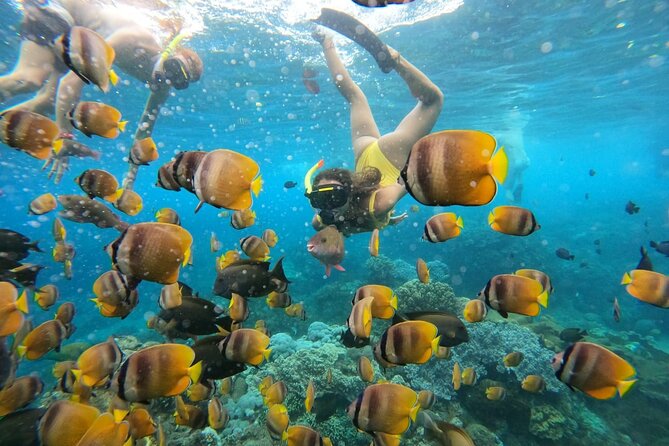 Snorkeling In Nusa Penida Island With Manta Ray From Bali - The day timeline, from 06:30 pickup to 13:00 return