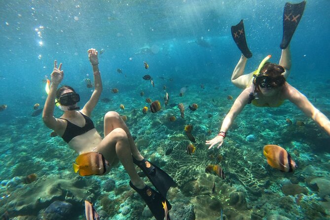 Snorkeling In Nusa Penida Island With Manta Ray From Bali - Gamat Bay: more time in the water, less randomness