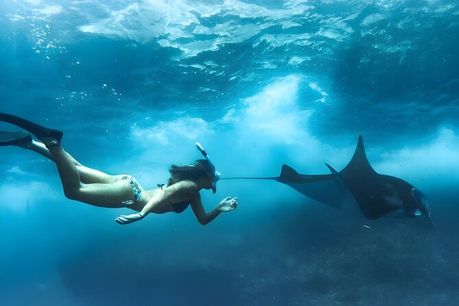 Snorkeling In Nusa Penida Island With Manta Ray From Bali - Crystal Bay and Wall Point: your first taste of Penida underwater life