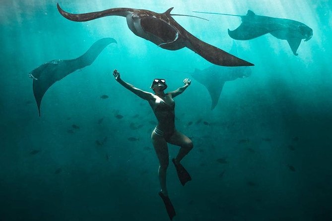 Snorkeling Manta Ray Safari in Nusa Penida - Key things to know before you go