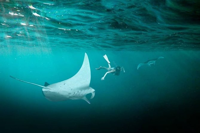 Snorkeling Manta Ray Safari in Nusa Penida - On the Water: Small-Group Format and How the Boat Day Moves