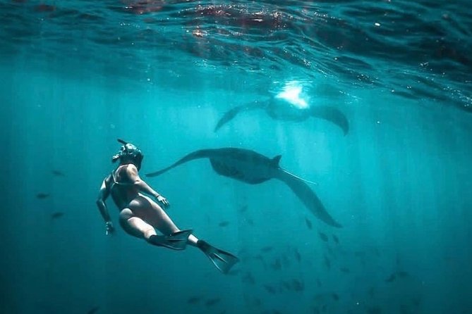 Snorkeling Manta Ray Safari in Nusa Penida - Four Stops You Can Expect, Plus What Can Change at Each Bay
