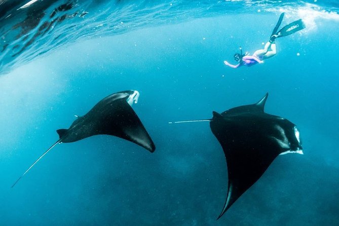 Snorkeling Manta Ray Safari in Nusa Penida - Snorkeling Setup, Etiquette, and Safety Tips That Matter
