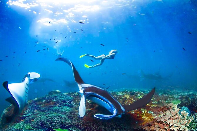 Snorkeling Manta Ray Safari in Nusa Penida - Photos, Towel, and Small Perks That Save You Hassle