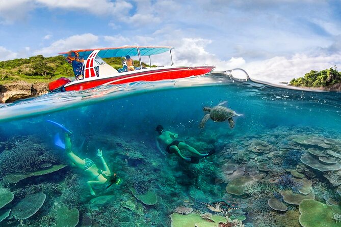 Snorkeling Manta Ray Safari in Nusa Penida - Price and Value: $15.28 With Gear and Underwater Photos