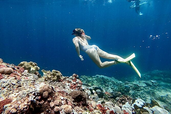 Snorkeling Trips with Manta Ray from Nusa Lembongan - Gear, safety, and why this works for non-swimmers