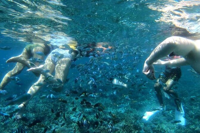 Snorkeling Trips with Manta Ray from Nusa Lembongan - Stop 1: The manta point and the fins-in-the-swell moment