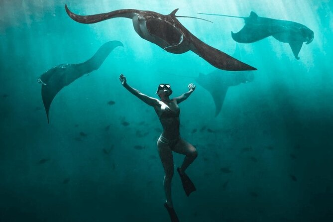 Snorkeling with Manta Rays in Nusa Penida Experience (All-Inclusive) - Key things I’d bookmark before you go
