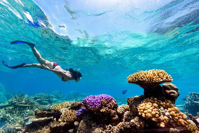 Snorkeling with Manta Rays in Nusa Penida Experience (All-Inclusive) - What makes this Nusa Penida manta ray trip worth your time