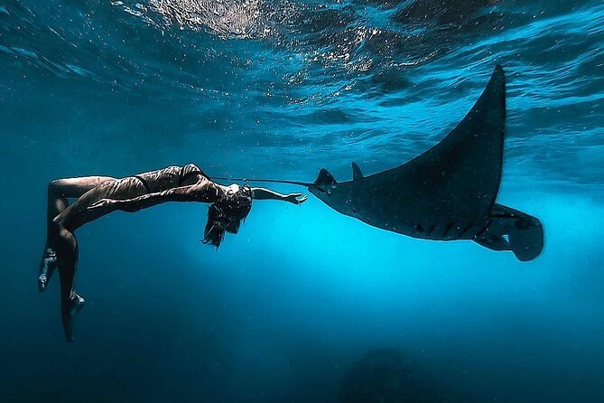 Snorkeling with Manta Rays in Nusa Penida Experience (All-Inclusive) - Morning setup: pickup, timing, and the Sanur fast-boat ride