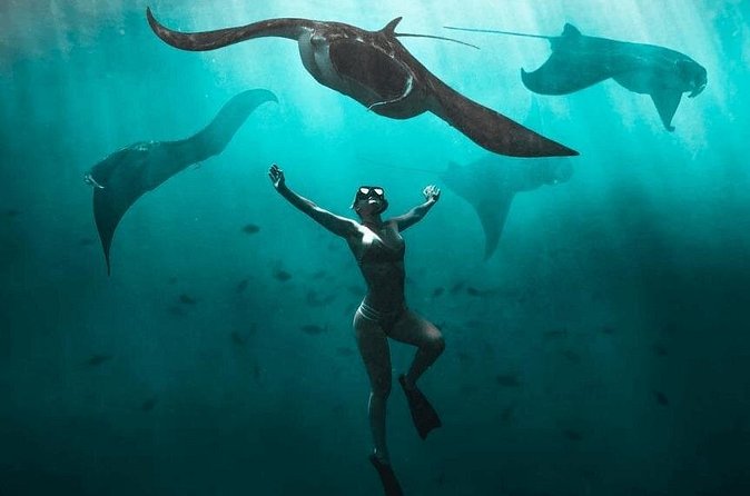 Snorkeling with Manta Rays in Nusa Penida Experience (All-Inclusive) - Gamat Bay and Wall Bay: coral, small fish, and turtle chances