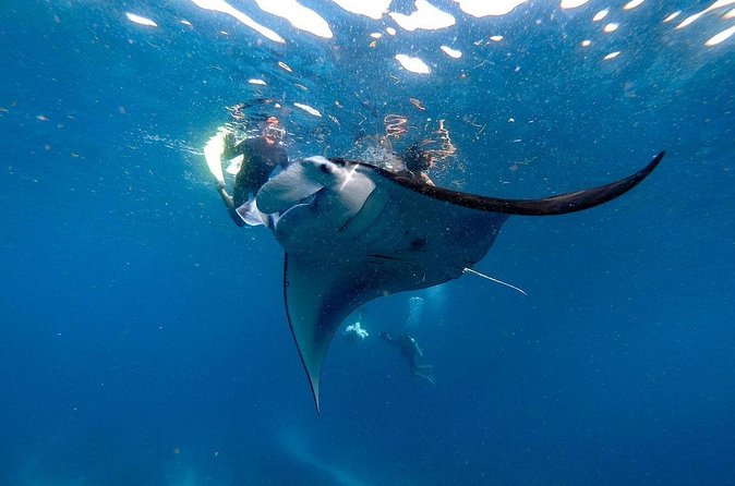 Snorkeling with Manta Rays in Nusa Penida Experience (All-Inclusive) - Puyung and the shorter stop rhythm