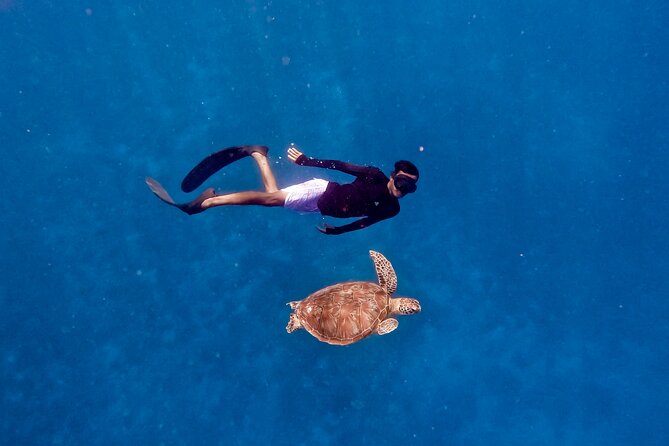 Snorkeling with turtle and statue in Gilis - Underwater statues: a cool sight, but watch the crowd flow