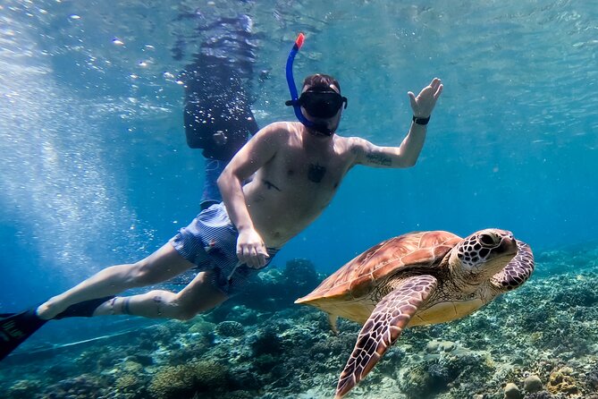 Snorkeling with turtle and statue in Gilis - Gear, comfort, and safety for beginners on this kind of outing